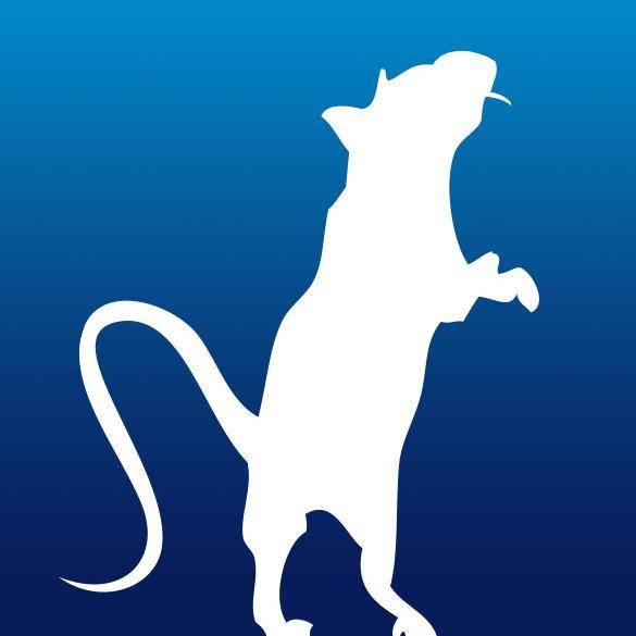 Official Twitter for Toby The Rat currently starring in The Curious Incident of the Dog in the Night Time (@curiousonstage)