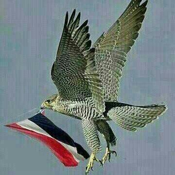 ‏‏‏وسيبقى نبض قلبي يمنيا