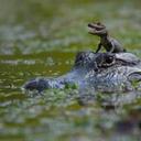 Sharon Bourque - @SharonBourque1 - Twitter