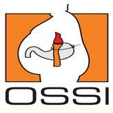 OSSI (@ossi_tweets) 's Twitter Profile
