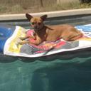 Anthony Moke - @professormoke - Twitter