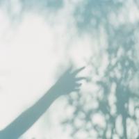 haru wagnus (@haru_nus) 's Twitter Profile