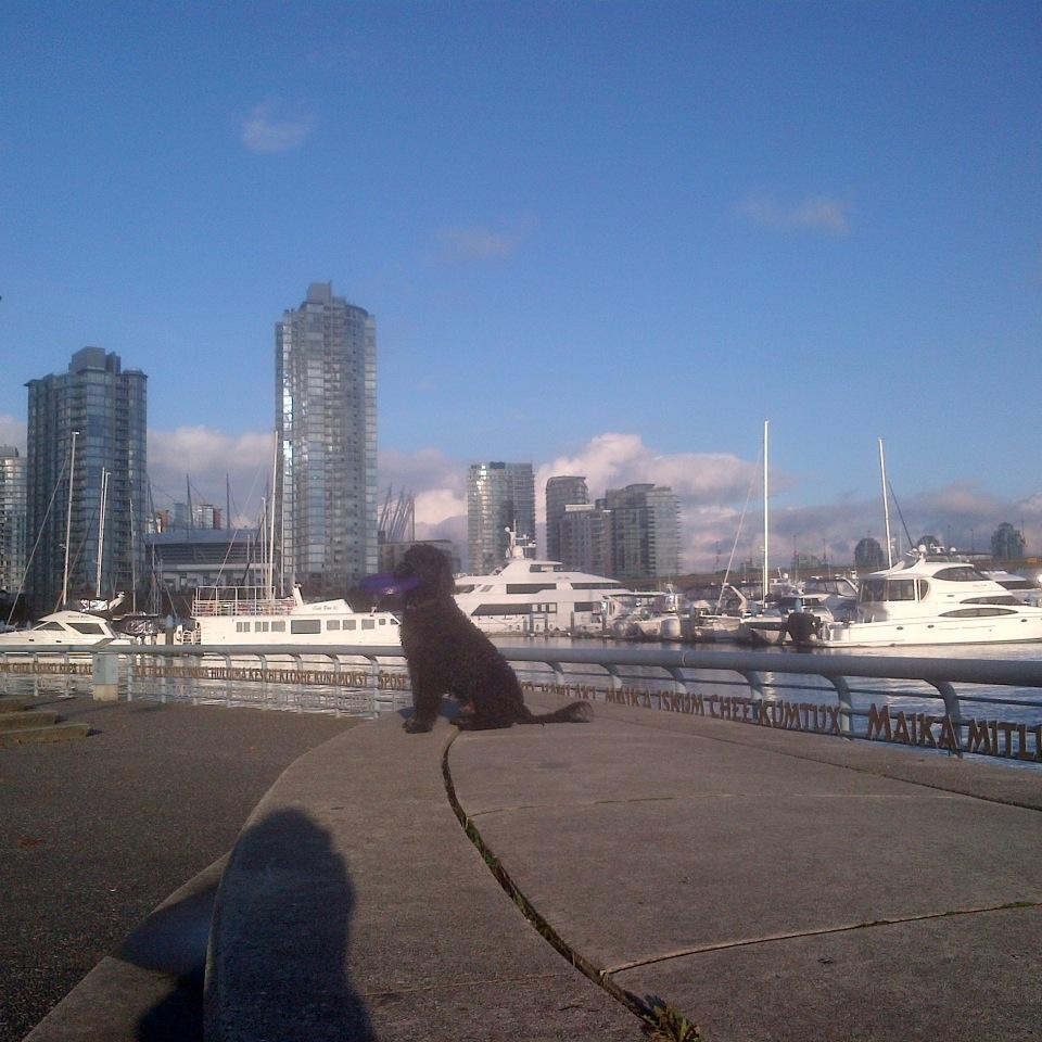 alexink's profile picture. Sue has spent a lifetime eating, drinking and talking on the phone while garnering major ink for a hospitality based portfolio of clients.