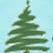 We grow and sell #realtrees #christmastrees during #christmas and all year. We are a #centuryfarm #ohiofarms #ohioproud #chooseandcut