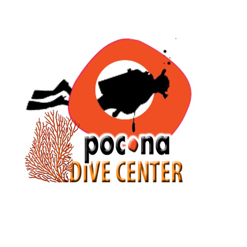 Pro dive school based at the legendary Poc-Na hostel in the heavenly Caribbean. All levels from fun dives to PADI certs. Come dive with us!