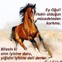 Hayran Gül (@0809Gul) Twitter