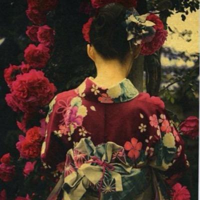 KnollLaurence's profile picture. Directrice du pôle magazines, connaissance, culture et patrimoine