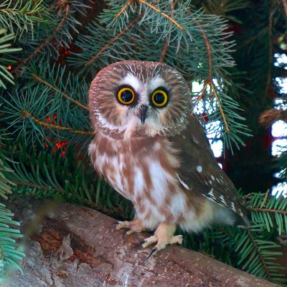 marsmaj's profile picture. 