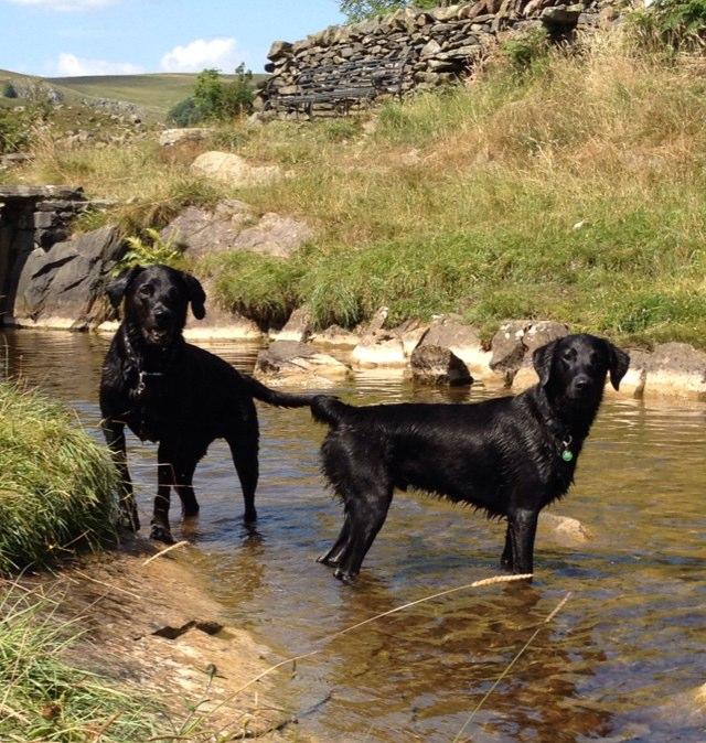 jillchewytet's profile picture. 