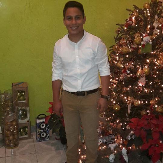 I am Giancarlo Delfin Manjarrez, I am fourteen years old, I am a student of high school graduates of Veracruz Diurnal, I am Mexican, My place of Birth is México