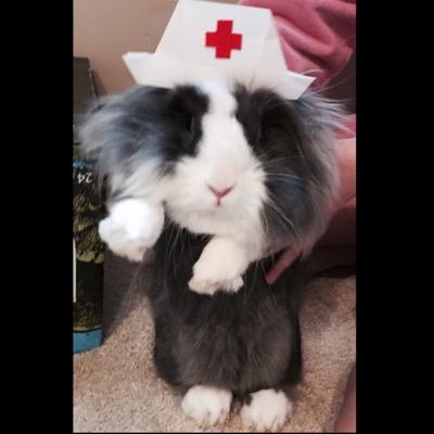 eameister's profile picture. BSN, RN, CCRN-CSC. Cardiovascular ICU. all things between diaphragm and carotids.