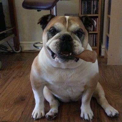 gregies999's profile picture. 