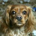 Michele McMahon - @mrsmac032 - Twitter