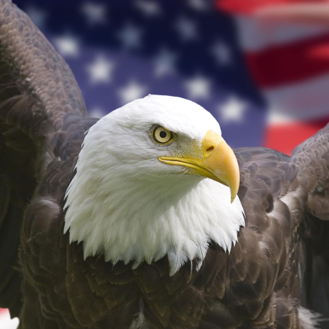 Offering Dental and Vision Plans to Our American Federal Employees Group.We have been Serving Postal and Federal Employees  for over 30 Years.