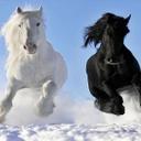 Michelle Mucha - @b280e628e9a0472 - Twitter