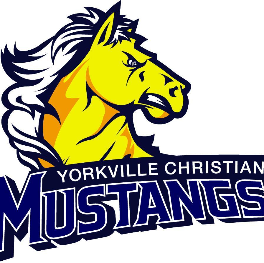 Mustang Hoops Profile