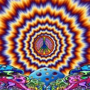 Peace loving, anti globalisation activist.  Free energy & natural health for all, end the regime........