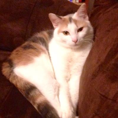 chdavis88's profile picture. 