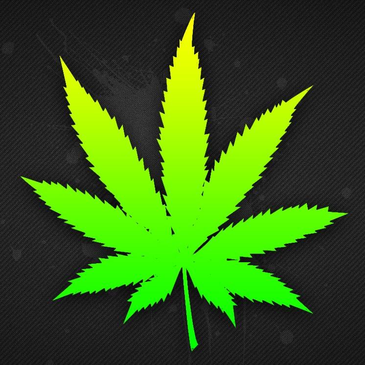 Reefer Review is a website designed to offer full insight reviews on smoke products and strains while providing featured articles on the world of cannabis.