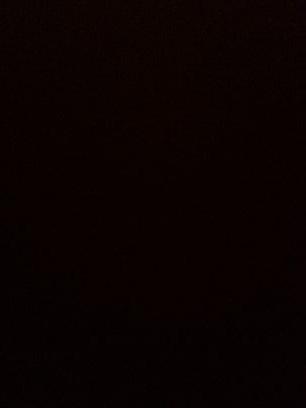 TimvMunster's profile picture. 