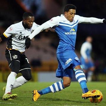 MBadrid's profile picture. 