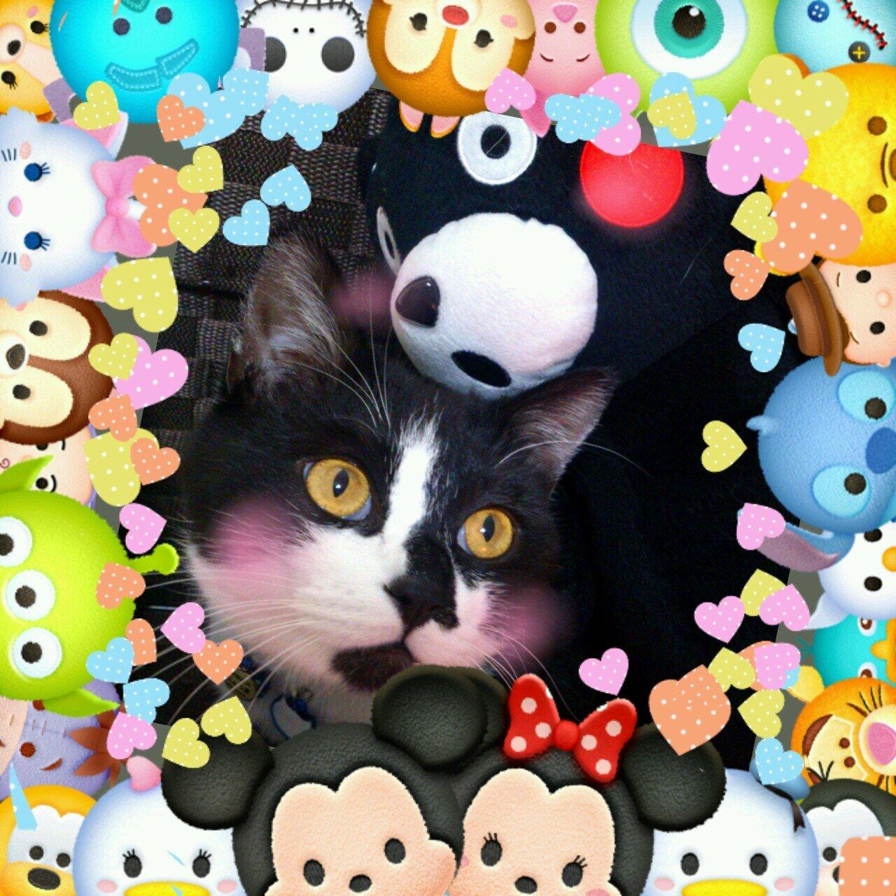 LINEのIDです！ nonnbeeee
追加よろしくです！