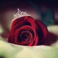 ‏وُصآيـّف‏#الجنوب (@aa_55247) Twitter profile photo