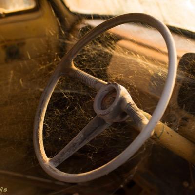 The_Shutterlad's profile picture. Cancer survivor.