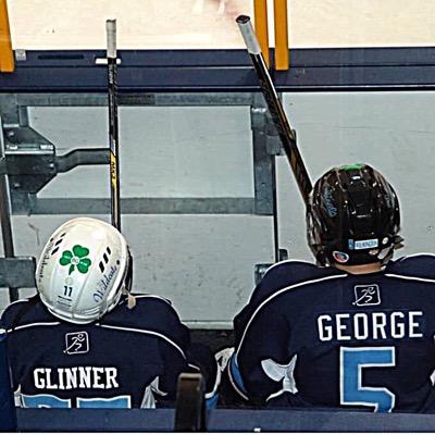One goal To play for it all to play for the cup ~Bobby Orr