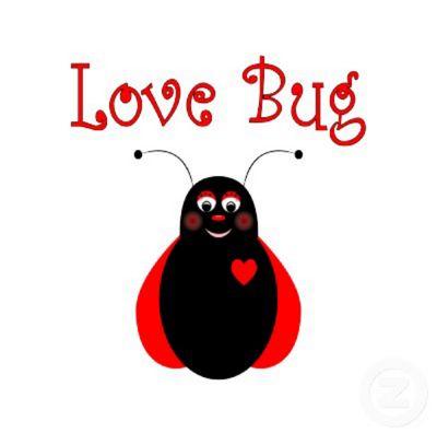 council bluffs, iowa love bugs