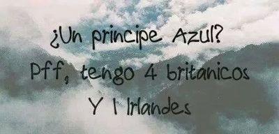Directioner frv