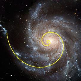 petitepoetry's profile picture. Student/Activist/Artist - interested in AI, neurology, cognition, creativity, compassion, unity, and the nature of reality