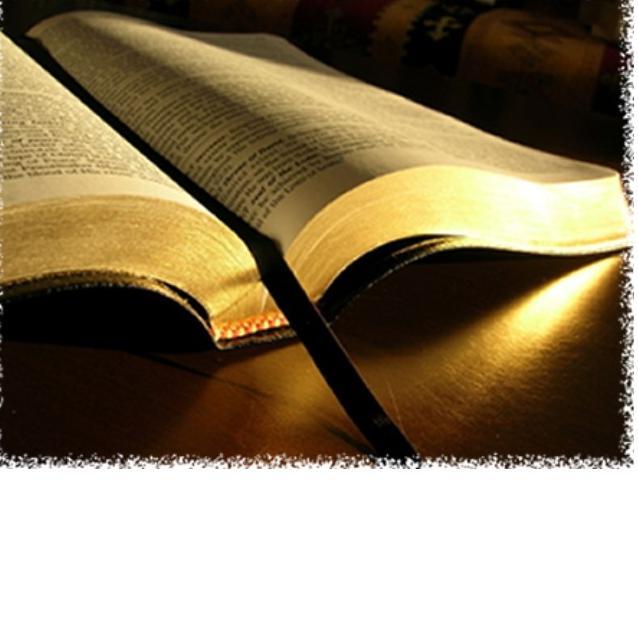 Senior Pastor - Church of the Rejected
don' fit in anywhere? I get it. I have been rejected by religion. Not JESUS! total, 