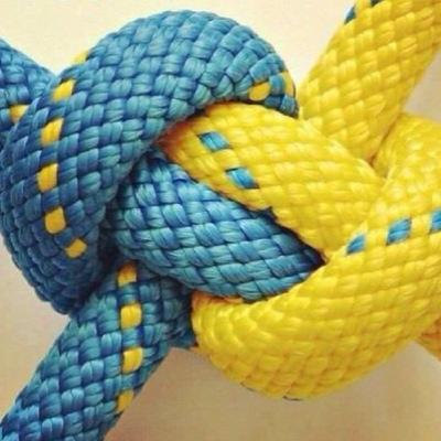 simplenotes's profile picture. 