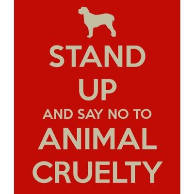 take a stand and say NO! to animal cruelty