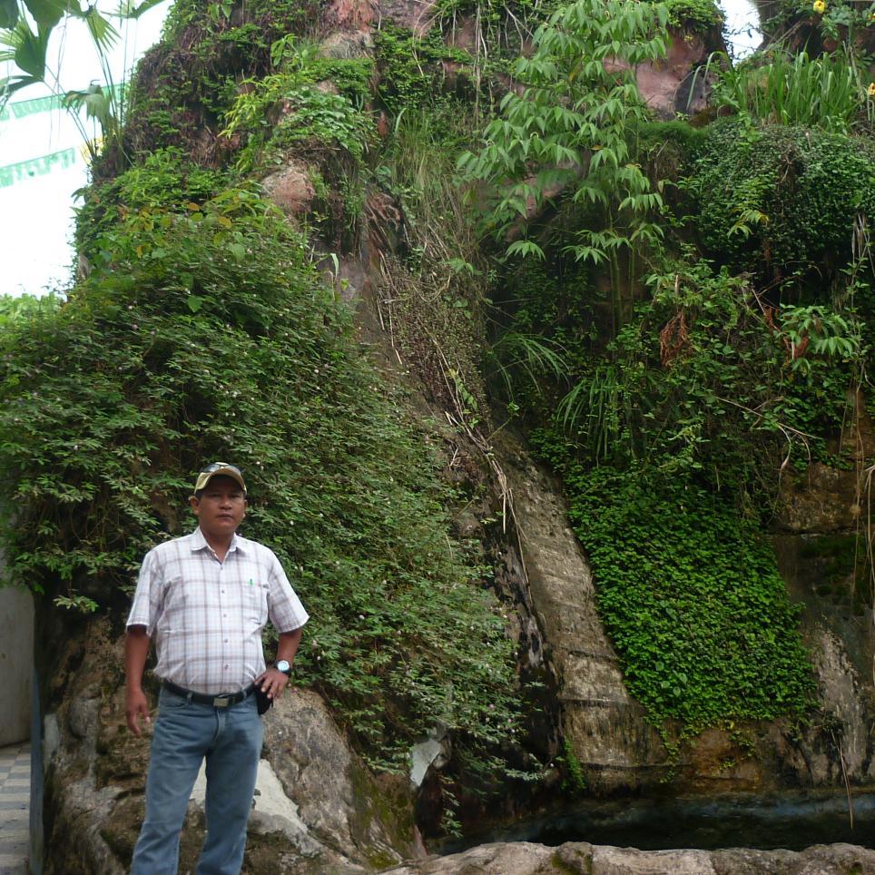 De Pucallpa - Región Ucayali - Perú