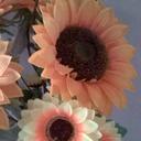 María Gamarra - @gamarra2306 - Twitter