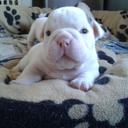 Roxana rangel - @roxanarangel_73 - Twitter