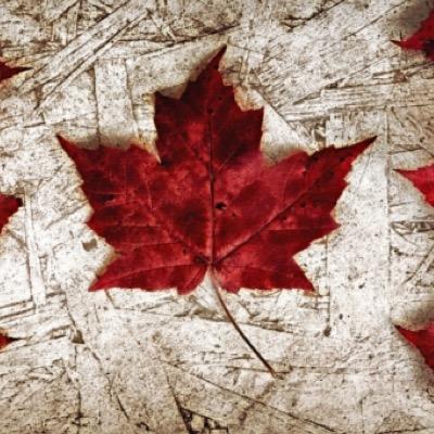 CanadianCarbine's profile picture. I like to play call of duty