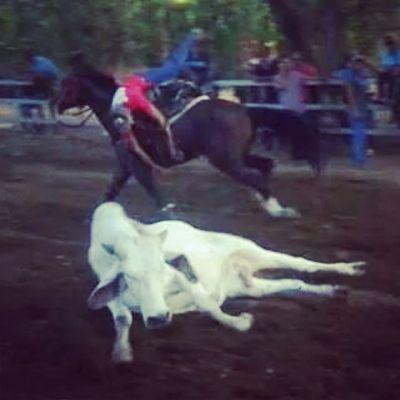 NegronGonzalo's profile picture. 