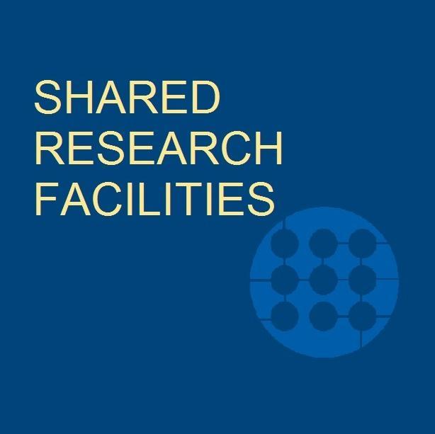 WVU_SRF's profile picture. Shared Research Facilities provide students and researchers with the opportunity to use cutting-edge materials, science and engineering equipment.