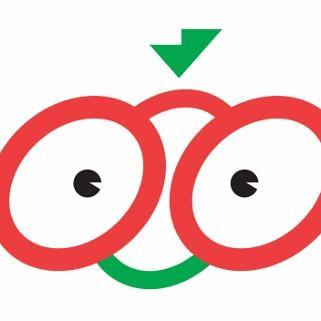 Distributor of Tomato Glasses – specialised frames for babies and school aged children