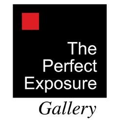 The Perfect Exposure Gallery presents workshops, lectures, seminars and free exhibits in order to exemplify the impact of photography & freedom of expression.