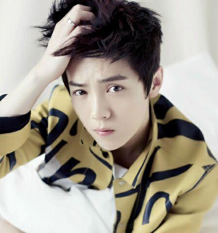 Xiluhan•Wuyifan•ExoL•Army