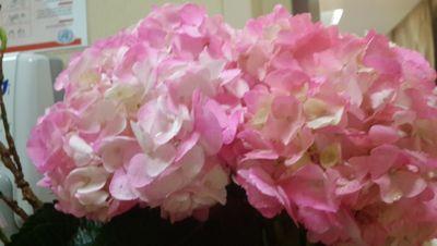 MohammedHessah's profile picture. اللهم اغفر لأبي ولوالدتي  ولأخي ناصر واجمعني بهم ووالديهم وأحبابي في الفردوس الاعلى من الجنة