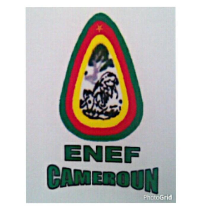 Enef Cameroun Profile