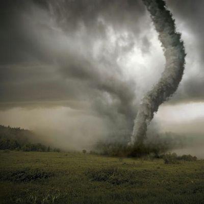 tolbonera's profile picture. 