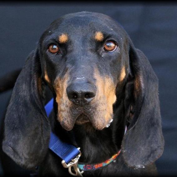 anne_haines's profile picture. Is climate change or Putin a greater danger to the future of life on earth?  Creation caregiver, horticulturist. 

#VoteBLUE #HarrisWalz2024!!!
#NAFO