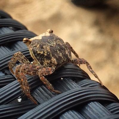 chiefsnapcase's profile picture. Happy camper, home fixer, skier, runner, humanist, and atheist. Father of two beautiful daughters. Software R&D Director.