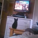 Steph Cooke - @anfeastarr - Twitter